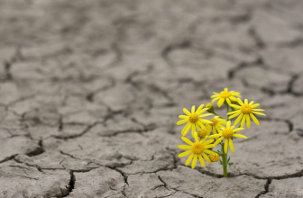 Oración Para Actuar Adecuadamente En Las Adversidades